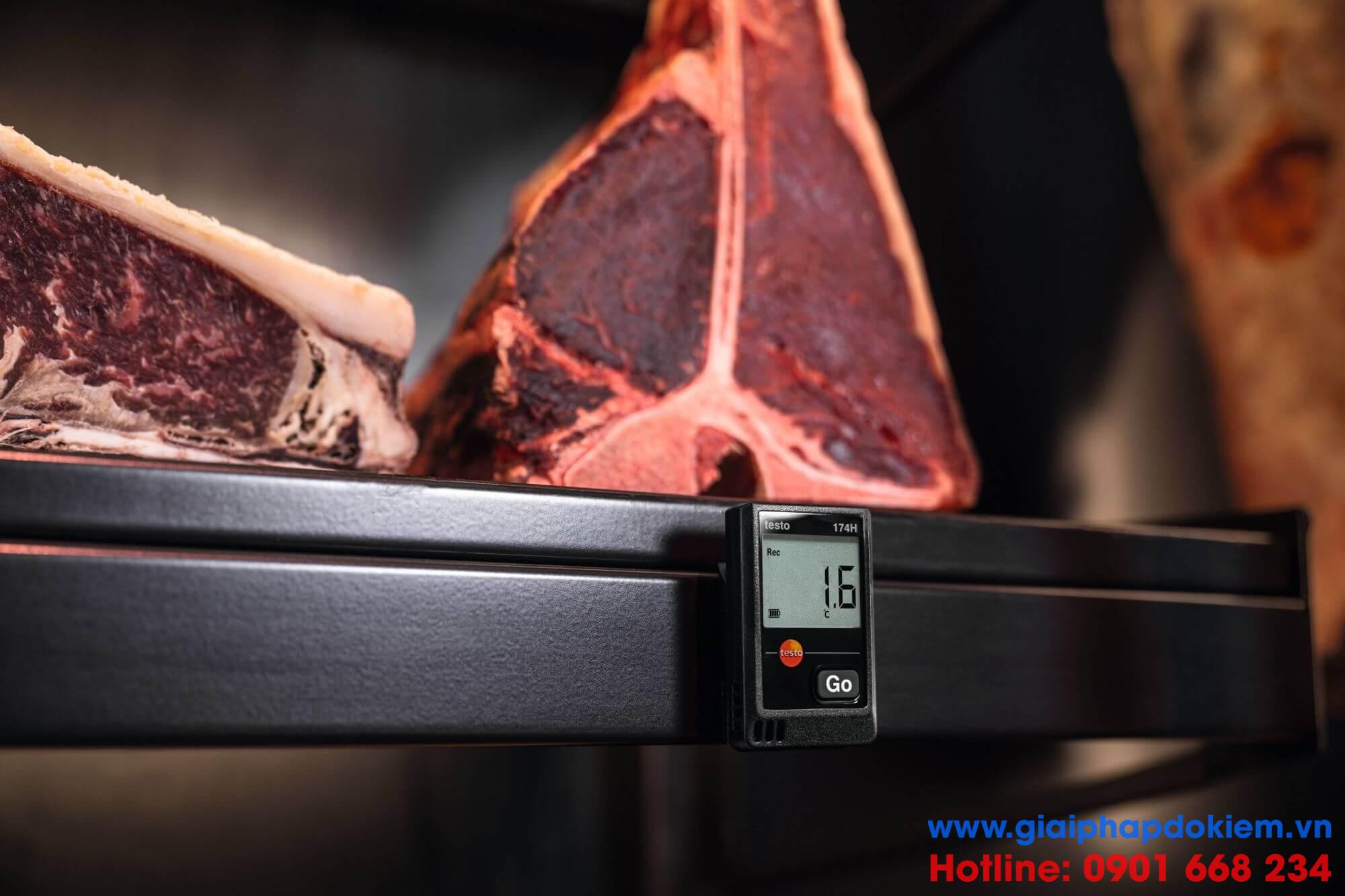 Máy đo ghi nhiệt độ, độ ẩm testo 174H Máy đo ghi nhiệt độ, độ ẩm testo 174H