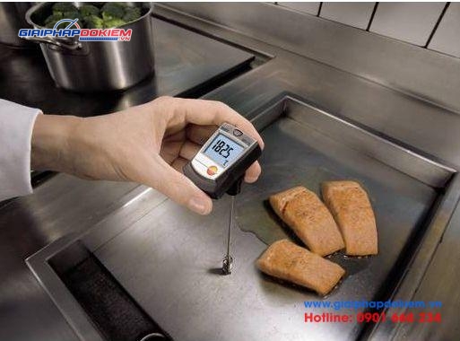 Máy đo nhiệt độ Testo 905-T2 8 Máy đo nhiệt độ testo 905-T2