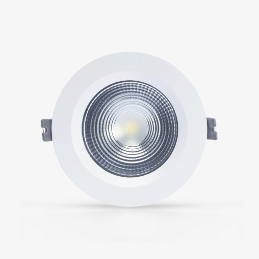 Đèn LED âm trần Downlight thông minh Rạng Đông AT14.BLE 110/12W
