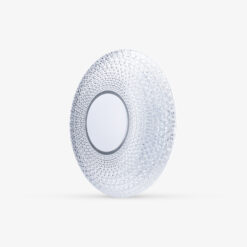 Đèn LED ốp trần Bluetooth Rạng Đông LN22.BLE 500/40W