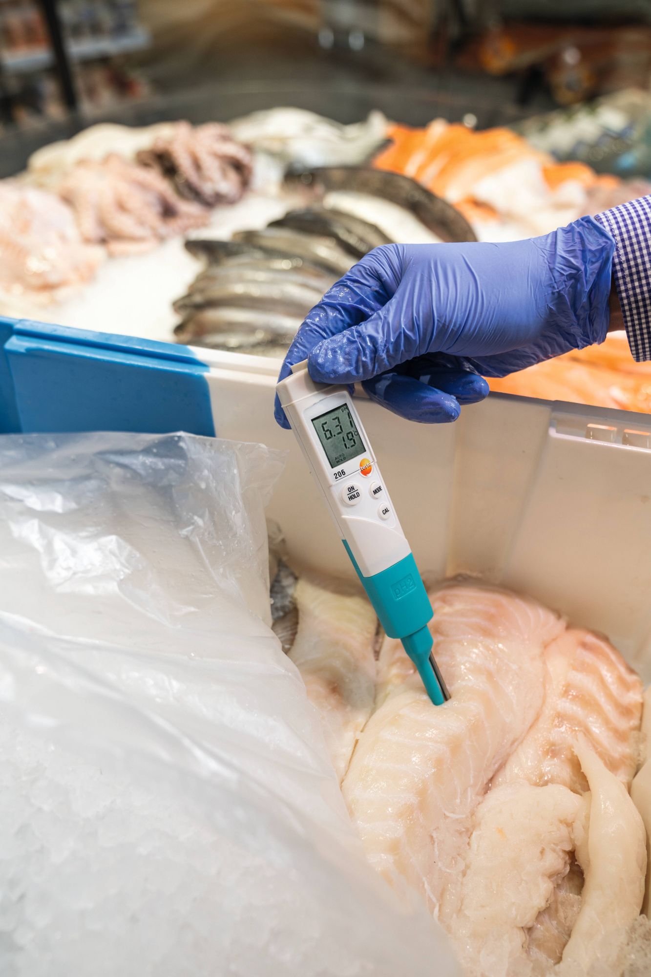 Bộ dụng cụ đo pH/nhiệt độ Testo 206 pH2 (0563 2066) 11 Bộ dụng cụ đo pH nhiệt độ Testo 206 pH2