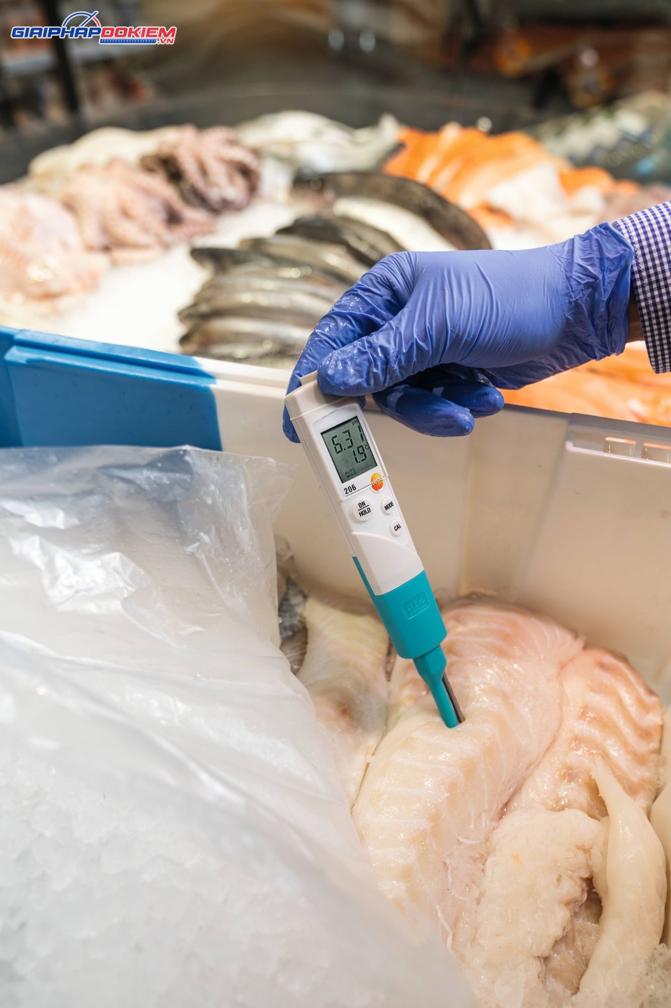 Bộ dụng cụ đo pH/nhiệt độ Testo 206 pH2 (0563 2066) 6 Bộ dụng cụ đo pH nhiệt độ Testo 206 pH2