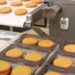 202011111318342037 product