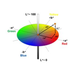 PCEPCE CSM 10 Additonal Image 5