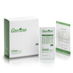 Dung Dịch Hiệu Chuẩn Độ Dẫn 5000 µS/cm, Hộp 25 gói 20mL Hanna HI70039G 3 dung dich hieu chuan do dan 5000 s cm hop 25 goi 20ml hanna hi70039g 1