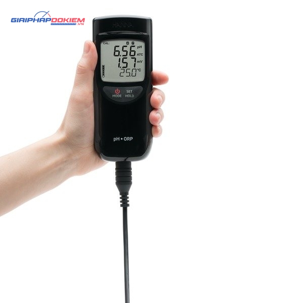 Máy Đo pH/ORP/Nhiệt Độ Chống Thấm Nước Có Sensor Check™ Hanna HI991003 3 Máy Đo pH/ORP/Nhiệt Độ Chống Thấm Nước Có Sensor Check™ Hanna HI991003 - Ảnh 3
