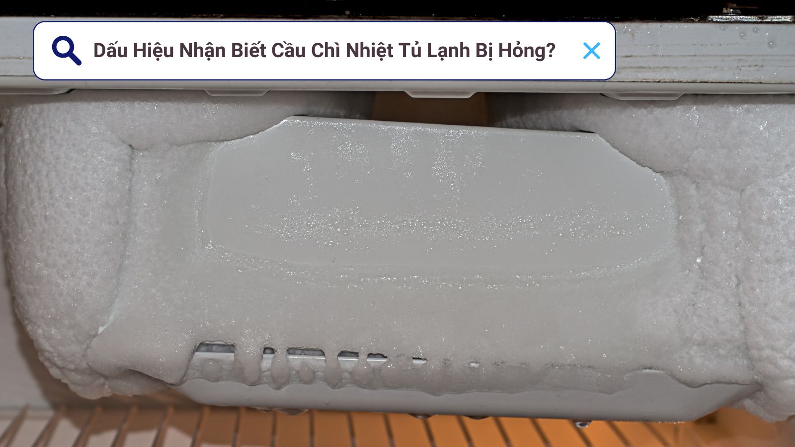 Các Cách Kiểm Tra Cầu Chì Nhiệt Tủ Lạnh Sống Hay Chết? 8 Dấu hiệu nhận biết cầu chì nhiệt tủ lạnh bị hỏng