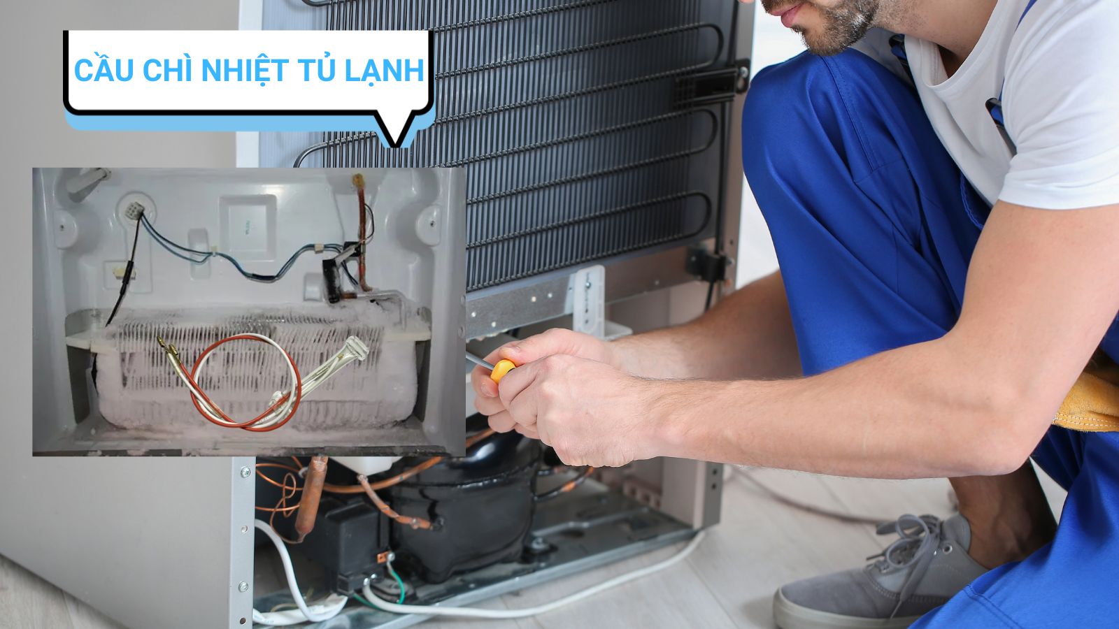 Các Cách Kiểm Tra Cầu Chì Nhiệt Tủ Lạnh Sống Hay Chết? 6 Giới thiệu cầu chì nhiệt tủ lạnh