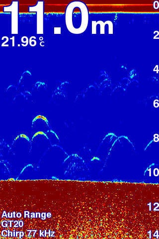 Máy định vị dò cá GARMIN FF 250