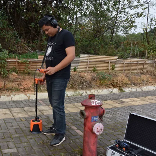 Máy phát hiện rò rỉ nước PQWT-L3000 độ sâu 5m 6 Máy phát hiện rò rỉ nước PQWT-L3000 độ sâu 5m - Ảnh 4