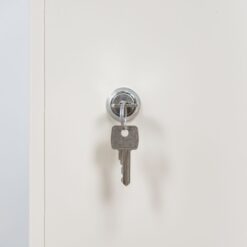 Tủ an toàn cho sản phẩm dễ cháy Ecosafe AMS10 18 giaiphapdokiem vn 487