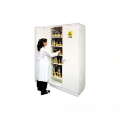Tủ cao an toàn chống cháy 2 cửa Ecosafe S2004T