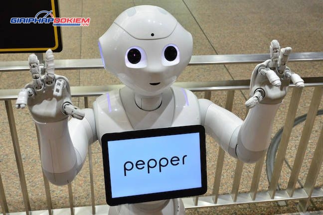 Robot giáo dục Softbank Robotic Pepper 16 Robot giáo dục Softbank Robotic Pepper - Ảnh 8
