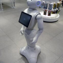 Robot giáo dục Softbank Robotic Pepper 17 robot giao duc softbank robotic pepper softbank pepper sbu7